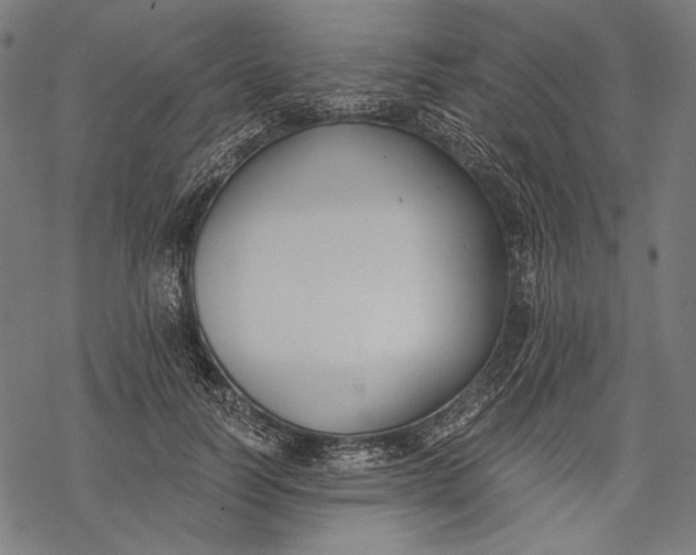 X0000068310746200605051530