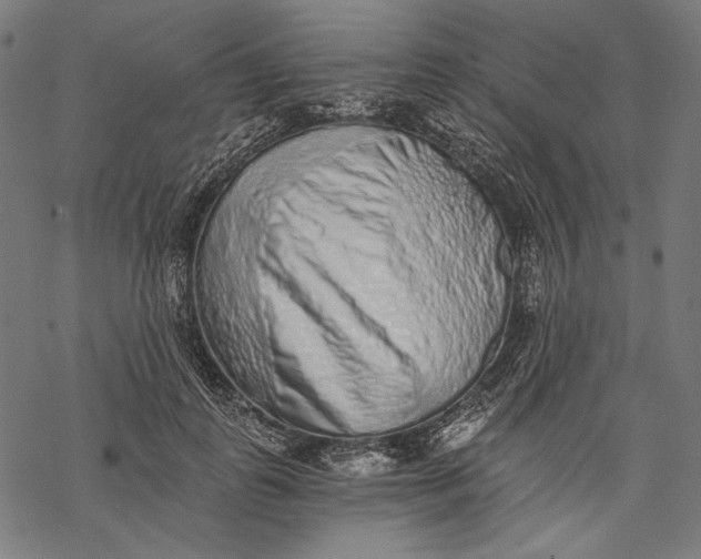 X0000068310747200605051530