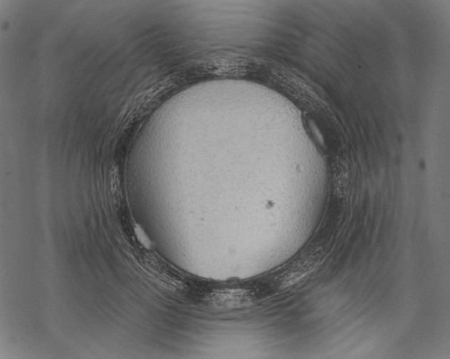 X0000068310748200605051530