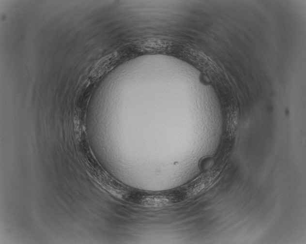 X0000068310749200605051530