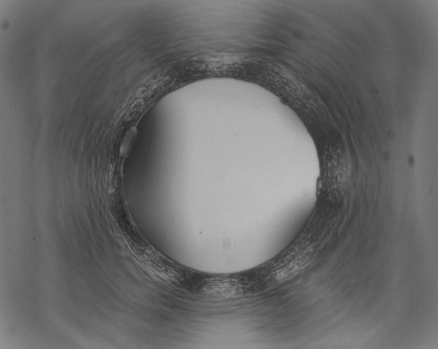 X0000068310750200605051530