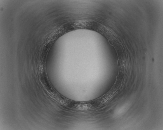 X0000068310751200605051530