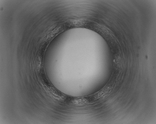 X0000068310752200605051530