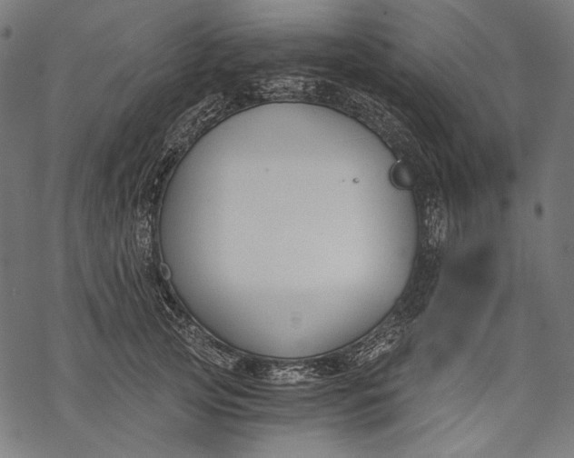 X0000068310753200605051530