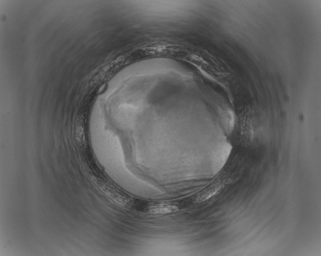 X0000068310754200605051530