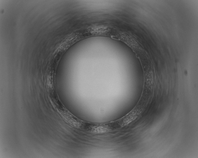 X0000068310755200605051530