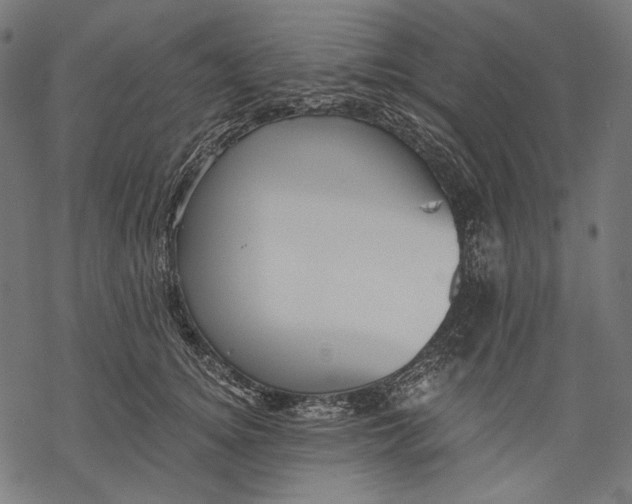 X0000068310756200605051530