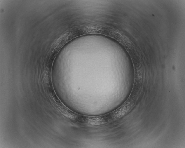 X0000068310757200605051530