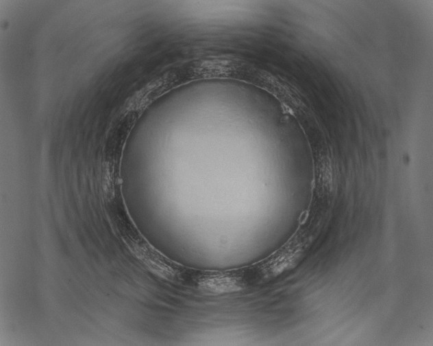 X0000068310759200605051530