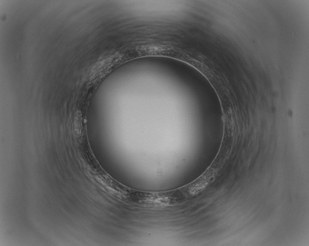 X0000068310760200605051530