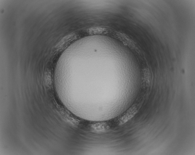 X0000068310761200605051530