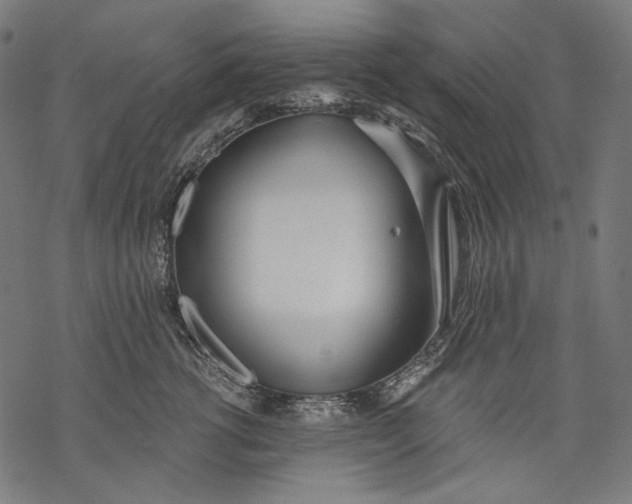 X0000068310762200605051530