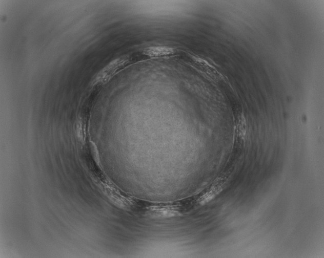 X0000068310763200605051530