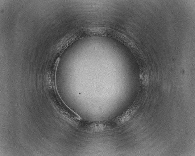 X0000068310764200605051530