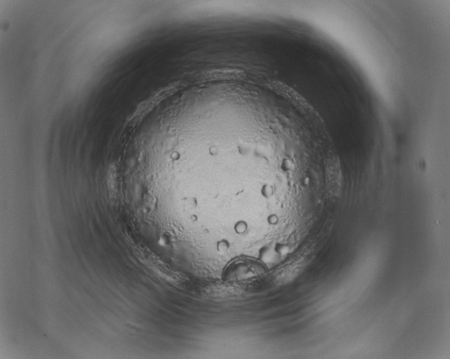 X0000068310765200605051531