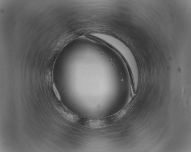 X0000068310766200605051531