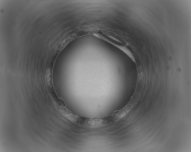 X0000068310767200605051531