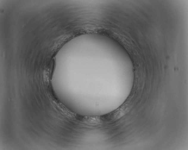 X0000068310768200605051531