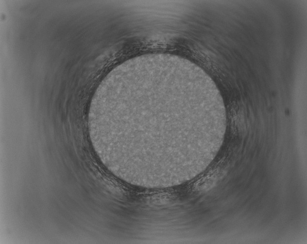 X0000068310769200605051530