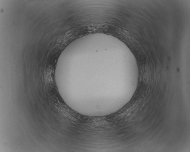 X0000068310770200605051530