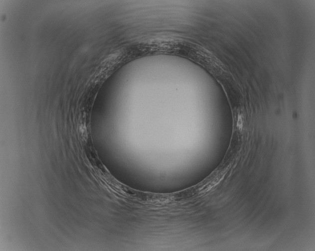 X0000068310771200605051530