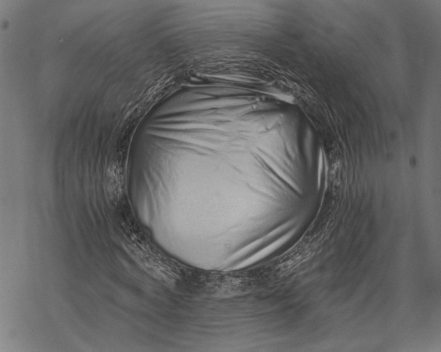 X0000068310772200605051530