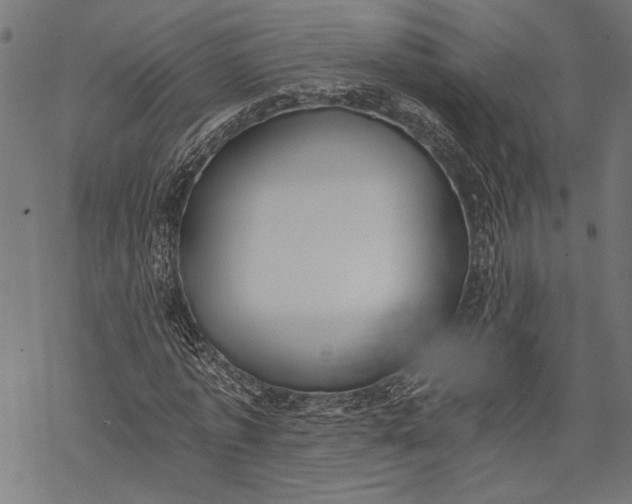 X0000068310773200605051530