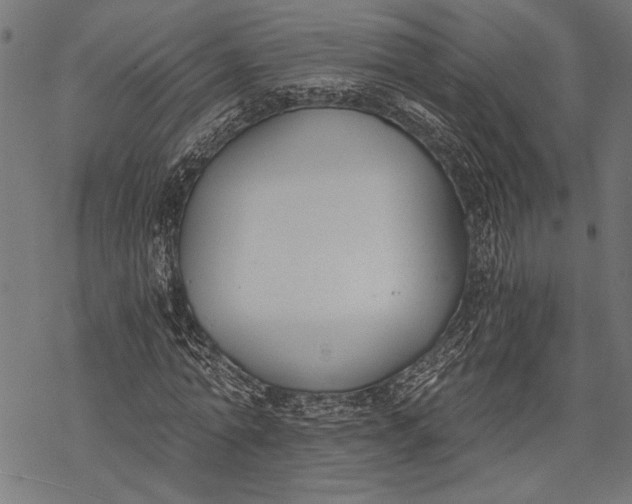 X0000068310774200605051530