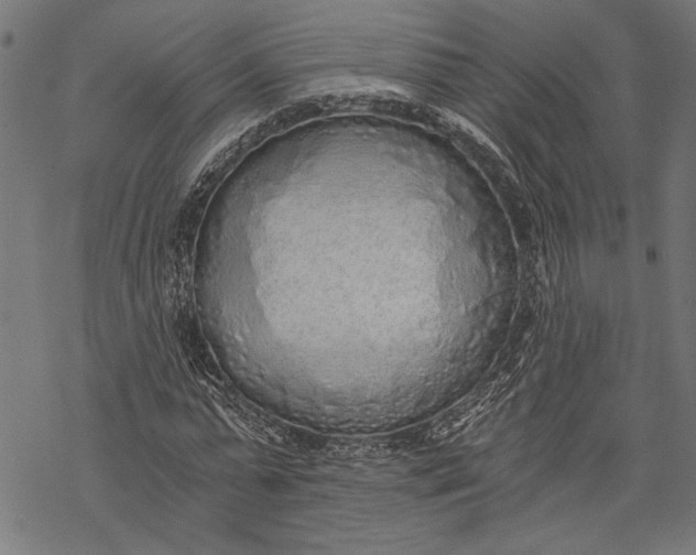 X0000068310775200605051530