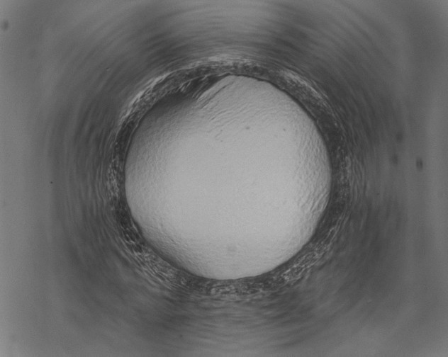 X0000068310776200605051530