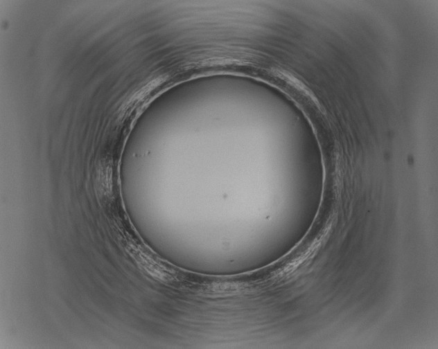 X0000068310777200605051530