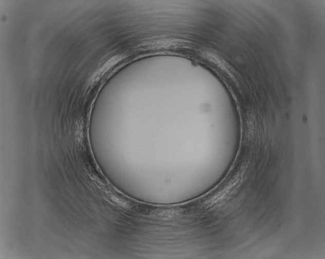 X0000068310778200605051530