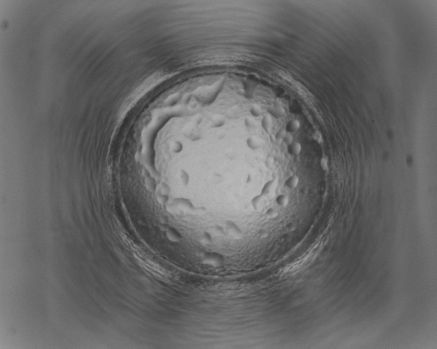 X0000068310779200605051530