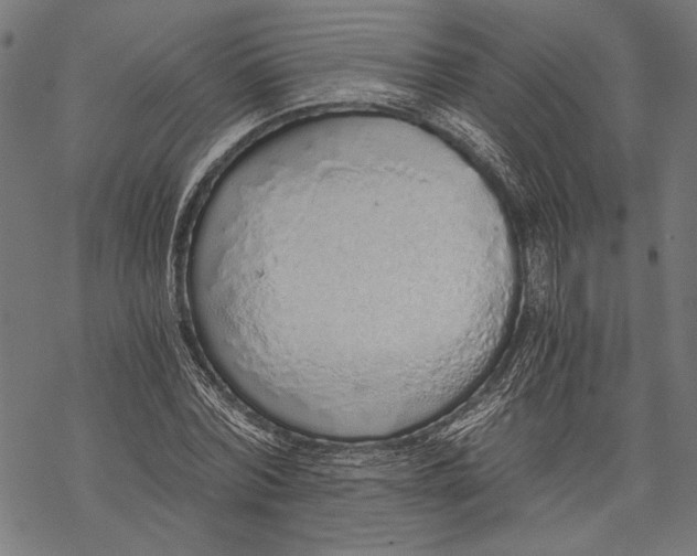 X0000068310780200605051530