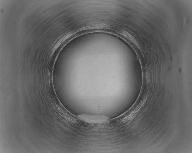 X0000068310781200605051530