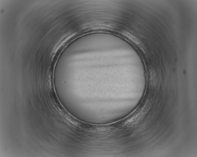 X0000068310782200605051530