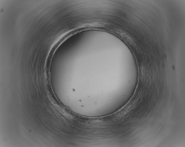 X0000068310784200605051530