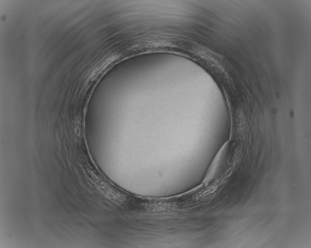 X0000068310785200605051530