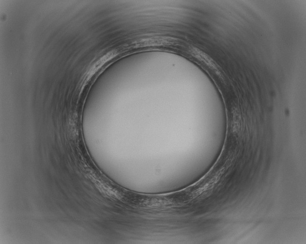 X0000068310786200605051530