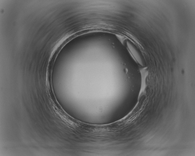 X0000068310788200605051529