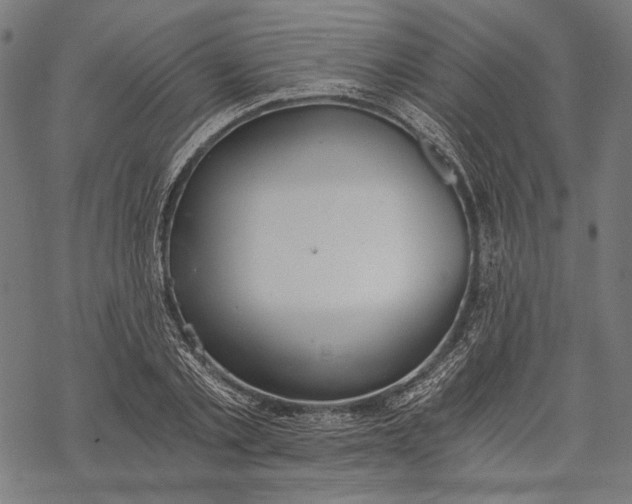 X0000068310789200605051529