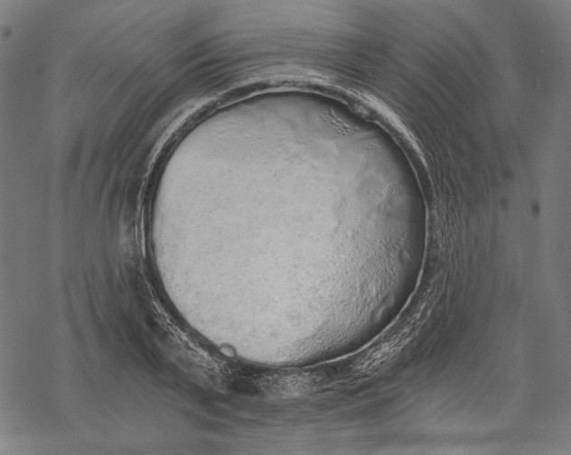 X0000068310791200605051529