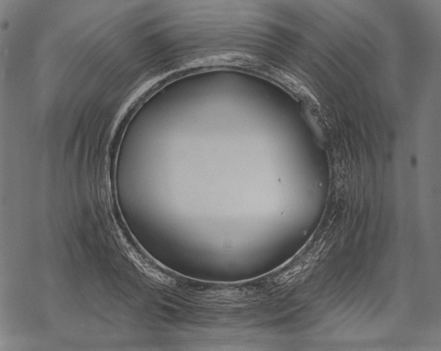 X0000068310792200605051529