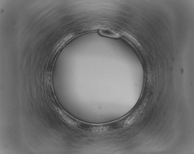 X0000068310793200605051529