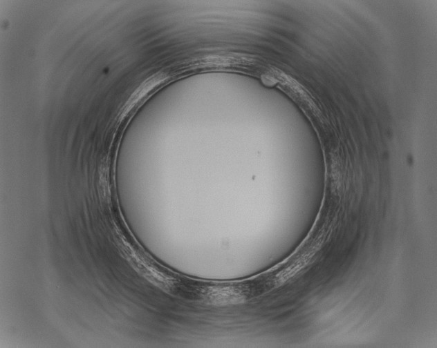 X0000068310794200605051529