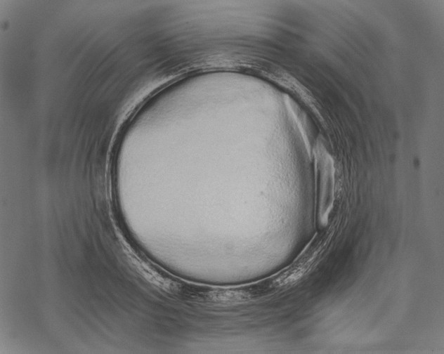 X0000068310795200605051529