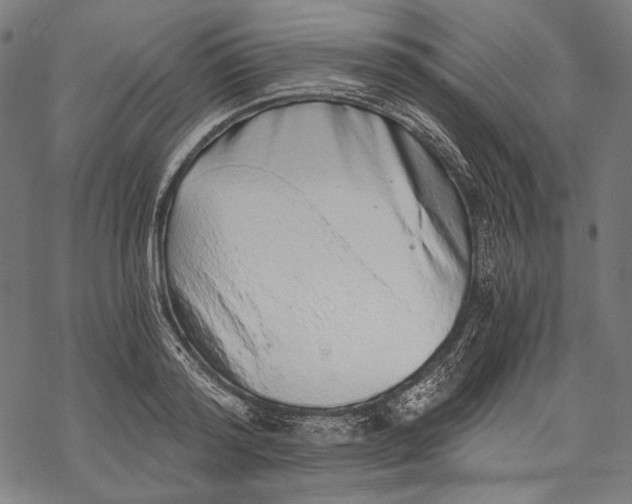 X0000068310796200605051529