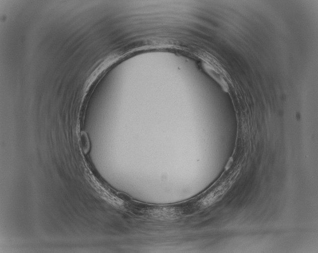 X0000068310797200605051529