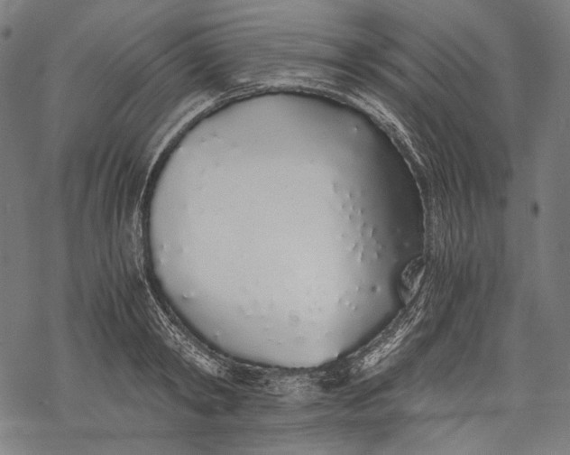 X0000068310798200605051529