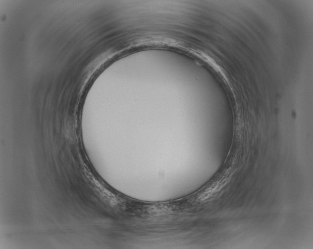 X0000068310799200605051529